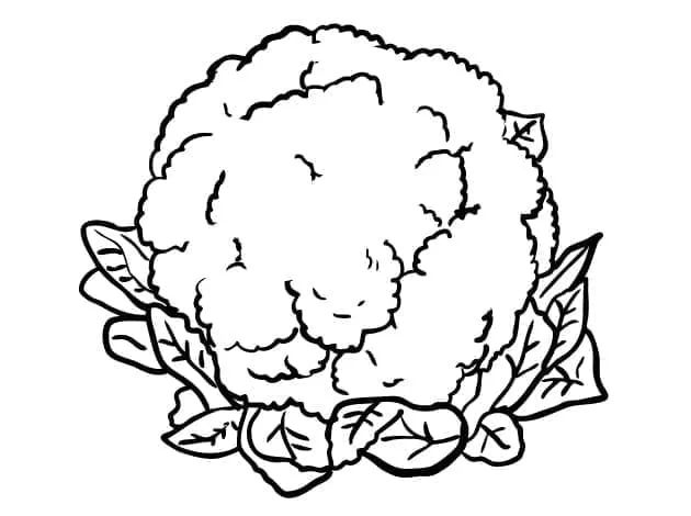 Chou Fleur 11